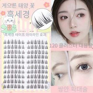 CHENGSI 속눈썹 속눈썹 스티커 내추럴 속눈썹 연장 10+11+12mm 10줄 120개의 대용량 블랙 라인, 3개