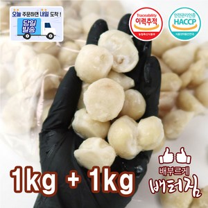 (배터짐) 특대사이즈 이빨제거 오징어입 오징어 (1+1), 2개, 1kg