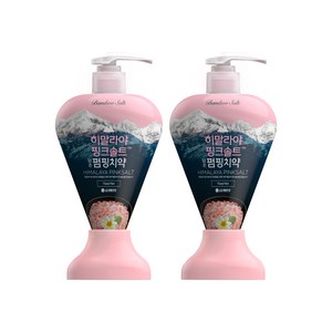죽염 히말라야 핑크솔트 담은 펌핑 치약 플로럴민트, 285g, 2개