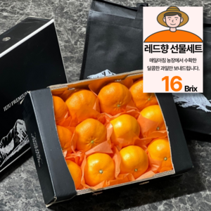 당도선별 제주 레드향 특상품 선물용, 1박스, 3kg(10과내외)