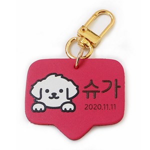 반려동물 고리형 인식표 강아지 외출용 이름표, 둥근체, 핫핑크, 1개