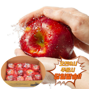 사과맛집 당도보장 꿀맛 간편아침 세척사과 중소과, 1개, 2kg(8~10입)