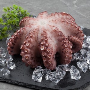 제수용 자숙문어 한마리 1kg 1.5kg 2kg 3kg 냉동 문어 돌문어 삶은 데친 문어숙회, 1개