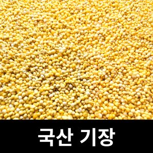 국산 잡곡 아람뜰 기장쌀100g 낱개 포장, 100g, 1개