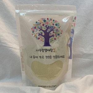 국내산 100% 은행분말 은행가루 500g, 1개