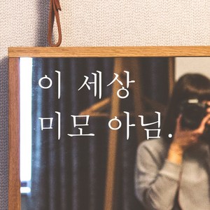 모노먼트 한글 감성 레터링 스티커 - 이 세상 미모 아님, 회색