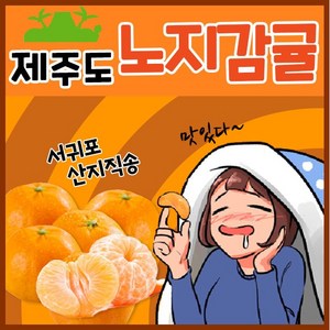 [득템몰] 제주도 귤 3kg 5kg 10kg 최상품 산지직송 황금향 선물 가정용 제주감귤 노지 감귤 밀감 고당도 과일, 노지감귤, 1박스