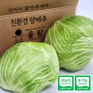 [울팜] 아삭 달달 국내산 친환경 양배추 1kg(1통) / 2kg(2통) / 3kg(2~3통) / 5kg(3~5통) 무농약 유기농 제주 무안 밀양, 1박스, 1kg