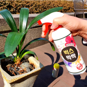 식물집사 벅스싹싹 식물 화분 화초 보호 살충제 500ml, 1개