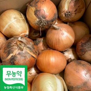 국내산 무농약 햇 양파, 중, 1박스, 2kg