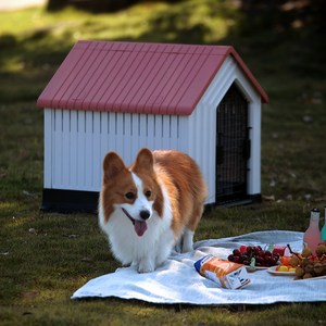 댕댕이집 아웃도어 대형 애견 하우스 개집, 1개, 분홍색