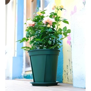 월드가드닝 다용도 뉴롱 슬릿 화분 받침 Set, 무드그린