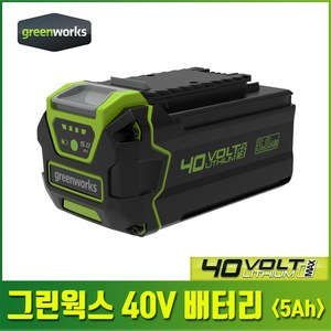 그린웍스 40V 배터리 급속 충전기 5ah 6ah G-MAX, 40V 배터리 (5ah), 1개