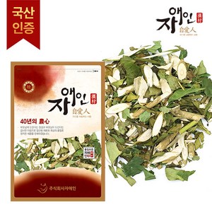 자애인 국산 황칠나무잎+가지 600g 10년생이상 황칠나무, 1개