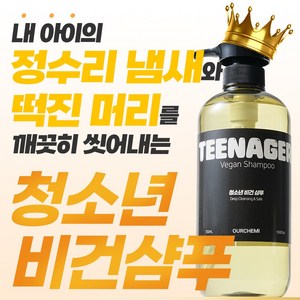 [13차 완판] 내 아이를 위한 안전한 성분의 첫번째 비건 샴푸 지금까지의 청소년 샴푸와 전혀 다릅니다 아워케미 틴에이저 비건 사춘기 샴푸, 1개, 700ml
