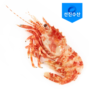 자연산 특 A급 닭새우 러시아 자숙닭새우 (1kg), 1kg, 2박스