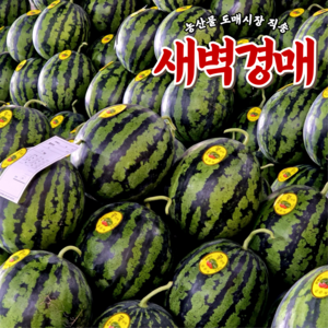 [당일출고] 새벽경매 12브릭스 고당도 수박, 1박스, 4KG