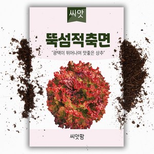 적축면 꽃상추씨앗-상추씨(3000립), 1개