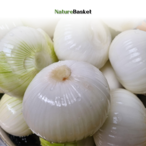 [한끼 야채] Natuebasket의 국산 깐양파 10키로(등급선택), 1개, 10kg, 소