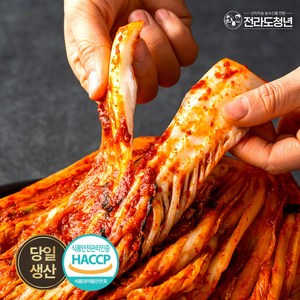 전라도청년 100% 국산 당일제조 포기배추김치, 1개, 1kg