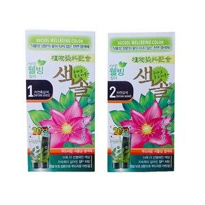 색솔 웰빙 칼라 크림 염색제 70g, 1호(자연흑갈색), 1개