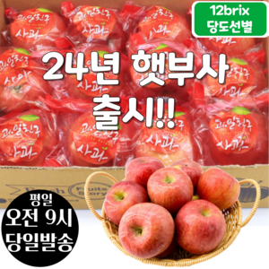 [오전8시 주문건 당일발송] 12브릭스 당도선별 세척사과 2kg (11~13입 소과), 1개