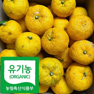 산지직송 국내산 친환경 유자, 1박스, 5kg(비품)