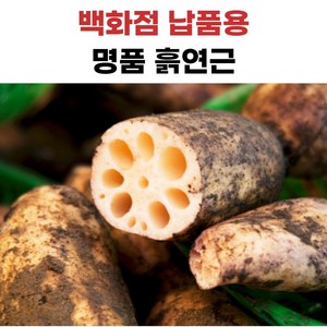 더좋은 흙연근 국내산, 1개, 2kg