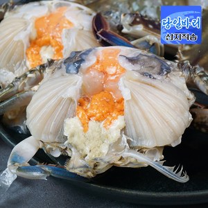 [당일조업] 서해안 제철 활 꽃게 암꽃게 숫꽃게 햇꽃게 생물 냉동, 꽃게 2kg, 1개