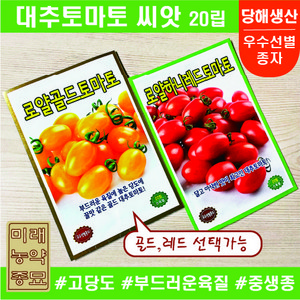 대추 토마토 씨앗 20립- 레드(빨강)/골드(노랑) 선택가능 고당도 대추방울, 1개