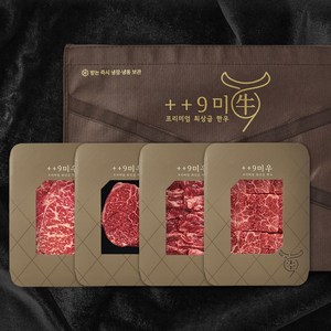 [구미우] 1++(9)등급 한우 눈꽃갈비 구이 선물세트 1.2kg (등심/안심/갈비살/살치, 1개