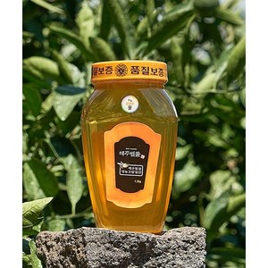 [제주 벌꿀] 1등급 천연 벌꿀 감귤꽃꿀 대용량, [제주벌꿀] 프리미엄 벌꿀 1.2kg 병 (감귤꽃꿀), 1.2kg, 1개