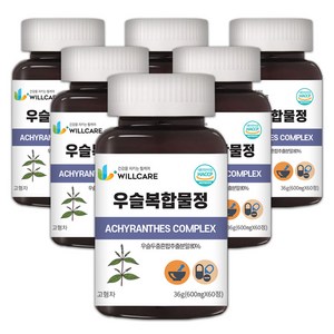 윌케어 국내산 우슬 복합물정 HACCP 식약처인증 600mg x 60정, 6개