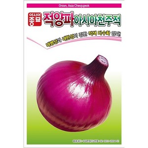 아시아종묘 아시아천주적 양파씨 붉은양파씨앗 월동용 종자 2.5g, 1개