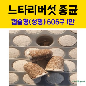 모두다팜 버섯종균 느타리버섯종균 606구 버섯종균 캡슐형 성형 느타리종균 버섯재배 버섯키우기 버섯 접종 버섯키트 버섯배지, 느타리버섯종균 (606구) 성형