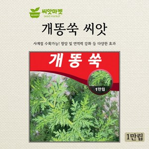 다농 개똥쑥 씨앗 1만립, 1개