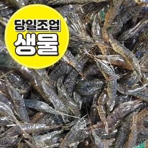 [흑새우] 국내산 민물새우 급냉 500g / 1kg 새뱅이 한국인의밥상 정림새우농장 줄새우 토하 김치양념 새우탕 새우깡, 1개, 생물) 검정줄새우 1kg