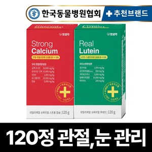 펫생각 강아지 관절 눈 눈물자국 영양제 슬개골 디스크 연골 루테인 백내장 녹내장 눈노화 시력저하 보조제 2종세트, 1개