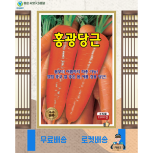 [OK씨앗] [홍광당근] 당근씨앗(오케이씨앗), 1개