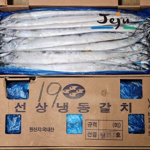 정품정량 제주 은갈치 선동갈치 10kg 1박스 한림갈치 통갈치 냉동갈치 제주한림수산, 중(45마리/10kg1박스), 1개