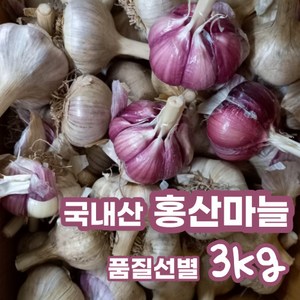 2023 남해 홍산마늘 햇 마늘 3kg 국내산 홍산 마늘 장아찌 통마늘 신품종 신종품 저장용 김장 식용 식당 마늘쫑 상등급, 3kg (중), 1개