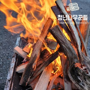 청년나무꾼들 캠핑 기계건조 국산 참나무 장작, 10kg, 1개