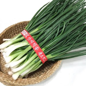 싱싱한 쪽파 깐쪽파, 1kg내외, 1단