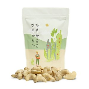 자연닮음 최신통관 햇 달콤달콤 베트남 생캐슈넛 1kg, 1개