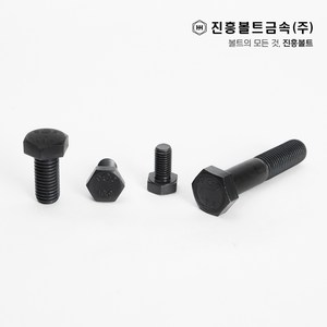 특강 고장력 육각볼트 개당 판매(12mm ~ 100mm) M6 M8 M10 M12 M14, 100mm, 1개