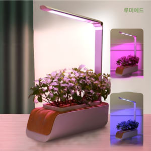 루미에드 가정용 상추 식물재배기 화초가꾸기 스마트팜 자동관리, 식물 재배기, 3개