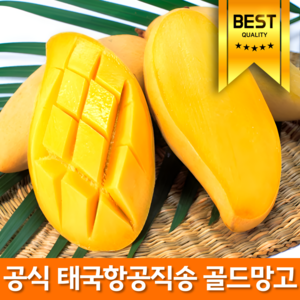 [누적수입량1위] 20bix선별완료 남독마이 태국망고 골드망고, 1개, 2.5kg 로얄대과(5-8과내외)