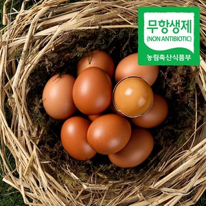 무항생제 초란 대란구운계란 HACCP 맥반석 30구 부활절계란 청라상회계란, 4개