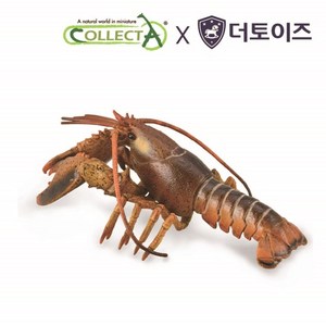 컬렉타 랍스터 디럭스 스케일, 1개