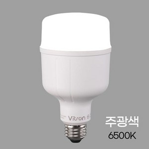 [오너클랜] 비츠온 LED T벌브 W E26베이스 30W, 1개, 주광색